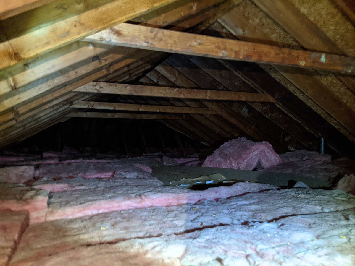 The left of the attic is open rafters with insulation between.